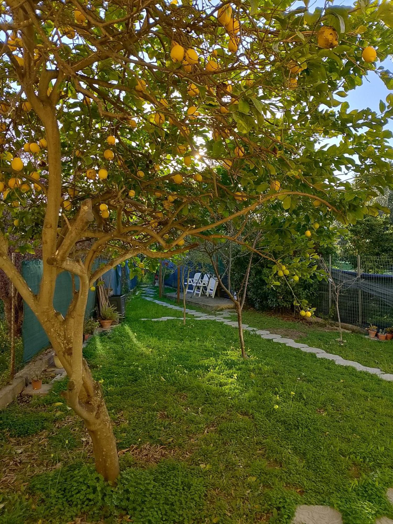 Lo Spicchio B&B Alghero Kültér fotó